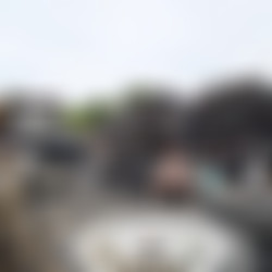 ginebellucanal1080p.mp4