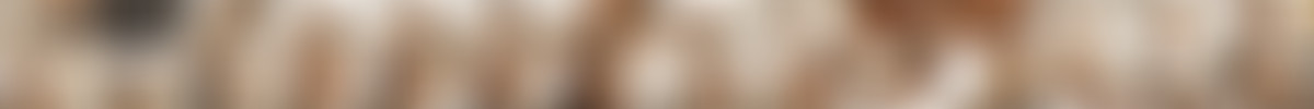 hookuphotshot.com - Melissa Moore - Extreme Dating (Uncut & 1080p).mp4 screencaps