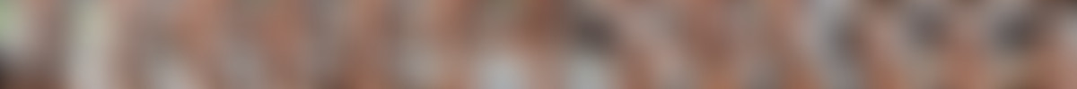 [RKPrime.com] - 2020.11.26 - Abella Danger - Hammer And Nailed (1080p).mp4 screencaps
