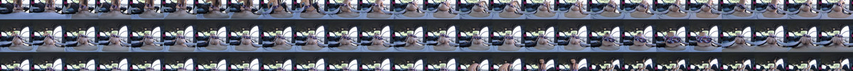 SLR_PS-Porn_Paula Shy_Great Sex With Paula In The Car_4096p_LR_180.mp4 screencaps